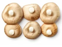 Featured products - 斗鱼直播